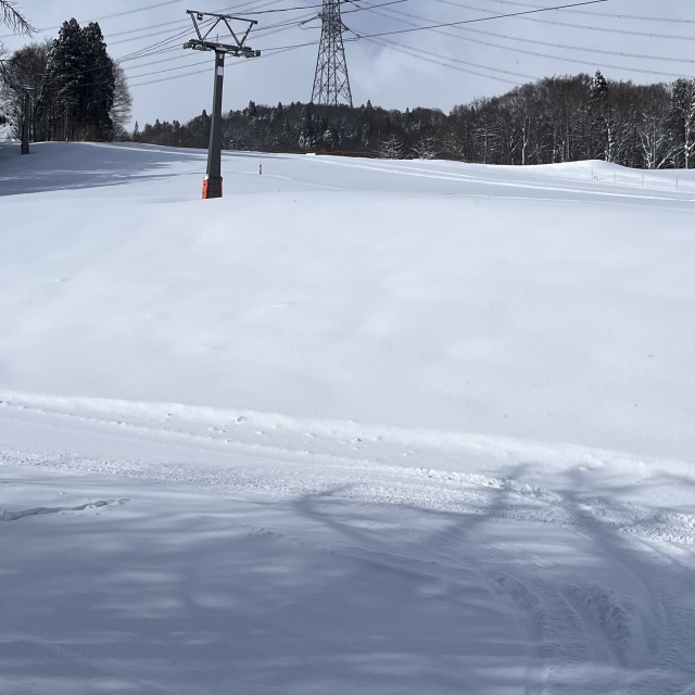 みつまたエリアも3月とは思えない良い雪の日が…

溶けちゃう前に♪
皆様のご来校お待ちしています！
