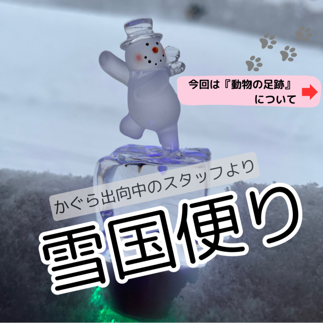 【雪国便り】 2024年3月31日