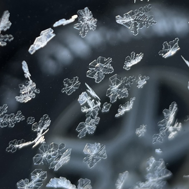 結晶がハッキリと見えるのでキレイです❄️
思わず、写真をパシャリ