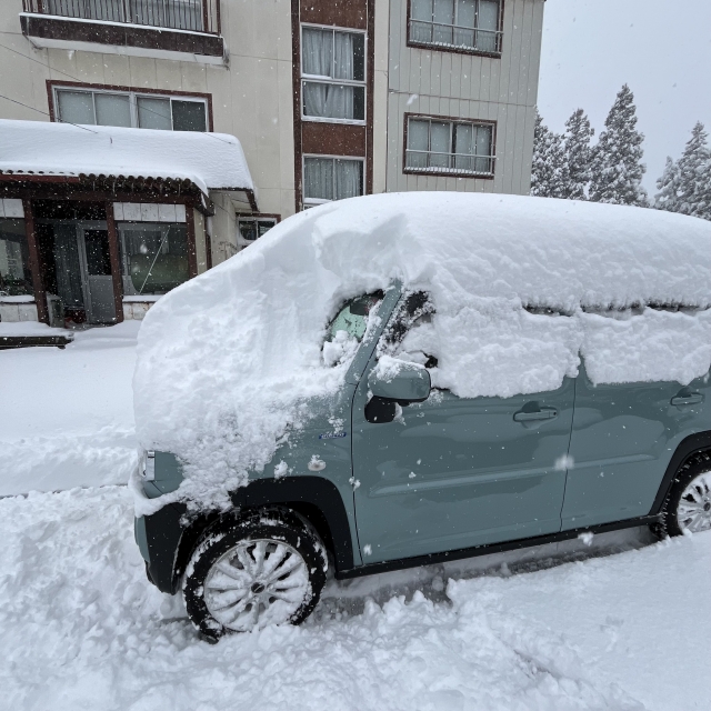 ところが昨日、今日は大雪！
車の上にもこんもり積もって、汗だくになりながら雪降ろししました…

かぐらスキー場の積雪も順調に増えているようで…
もう3月の下旬にむかっているのですが…笑

春になったり真冬になったり繰り返しながら、暦が進んでいきます。

ご来場の際は、天気予報をよくご確認の上、服装を整えてお越しくださいね！
皆様のご来校お待ちしております♪