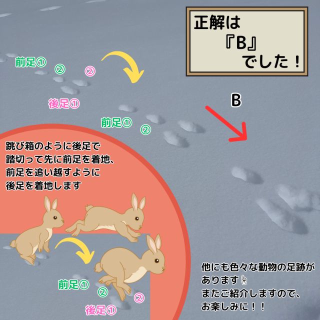 湯沢町もすっかり春らしくなってきました!
ゲレンデの雪も春の雪!!
コブ好きの方にはたまらない雪質です。
雪不足、暖冬と言いながらもまだまだかぐらスキー場は滑るのに充分な雪がありますよ!
皆様のご来校お待ちしています! 湯沢町もすっかり春らしくなってきました!
ゲレンデの雪も春の雪!!
コブ好きの方にはたまらない雪質です。
雪不足、暖冬と言いながらもまだまだかぐらスキー場は滑るのに充分な雪がありますよ!
皆様のご来校お待ちしています!
